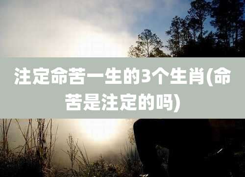注定命苦一生的3个生肖(命苦是注定的吗)