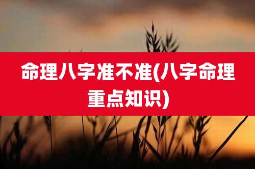命理八字准不准(八字命理重点知识)