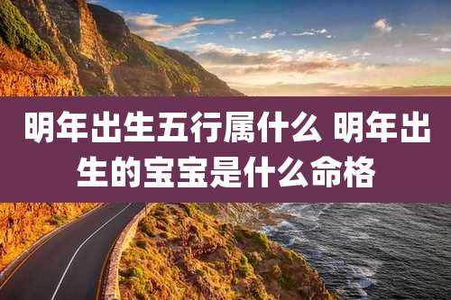明年出生五行属什么 明年出生的宝宝是什么命格