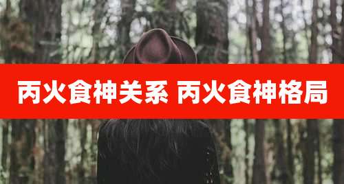 丙火食神关系 丙火食神格局