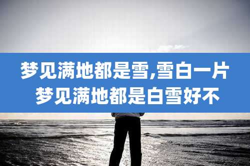 梦见满地都是雪,雪白一片 梦见满地都是白雪好不