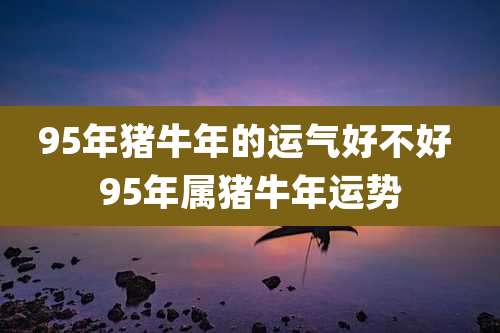 95年猪牛年的运气好不好 95年属猪牛年运势