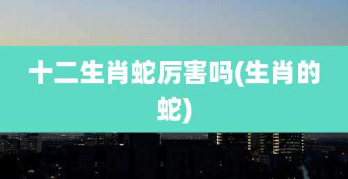 十二生肖蛇厉害吗(生肖的蛇)