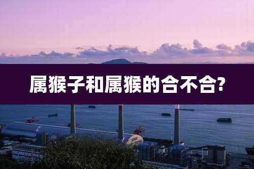 属猴子和属猴的合不合?