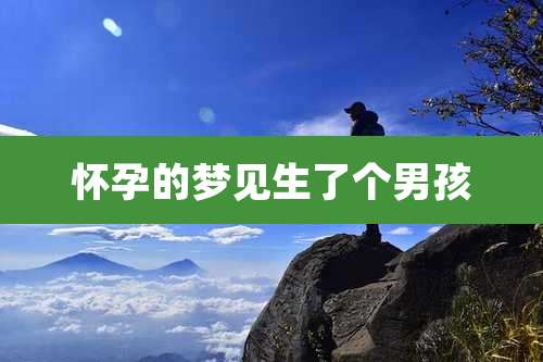 怀孕的梦见生了个男孩