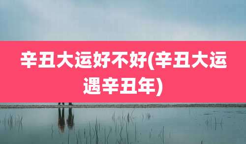 辛丑大运好不好(辛丑大运遇辛丑年)