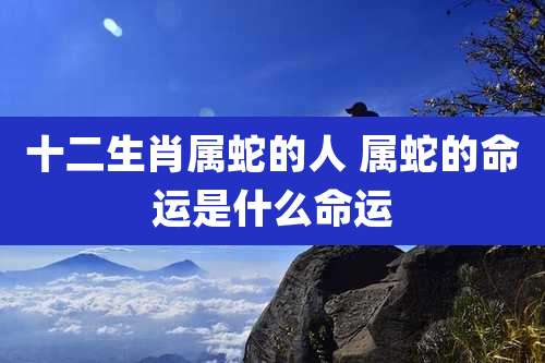 十二生肖属蛇的人 属蛇的命运是什么命运