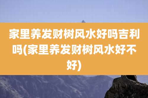 家里养发财树风水好吗吉利吗(家里养发财树风水好不好)