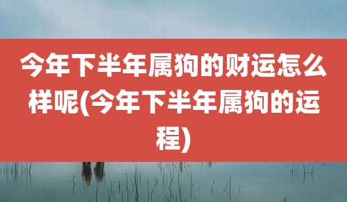 今年下半年属狗的财运怎么样呢(今年下半年属狗的运程)