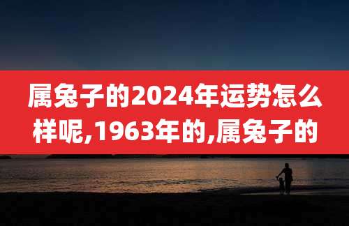 属兔子的2024年运势怎么样呢,1963年的,属兔子的