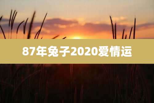 87年兔子2020爱情运