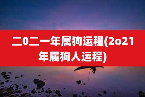 二0二一年属狗运程(2o21年属狗人运程)