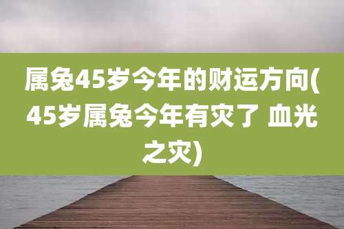属兔45岁今年的财运方向(45岁属兔今年有灾了 血光之灾)