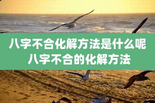 八字不合化解方法是什么呢 八字不合的化解方法
