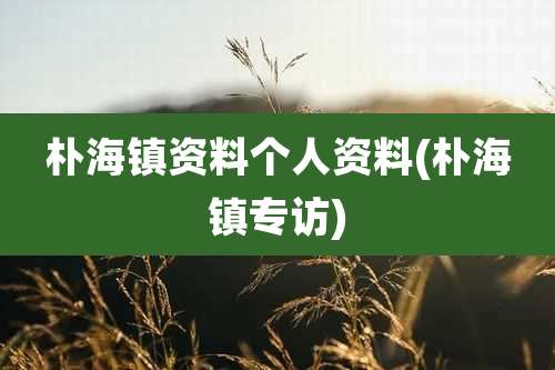 朴海镇资料个人资料(朴海镇专访)