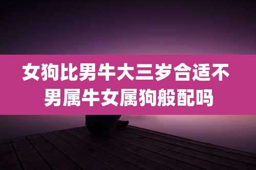 女狗比男牛大三岁合适不 男属牛女属狗般配吗