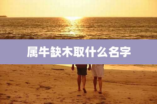 属牛缺木取什么名字