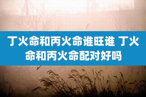 丁火命和丙火命谁旺谁 丁火命和丙火命配对好吗