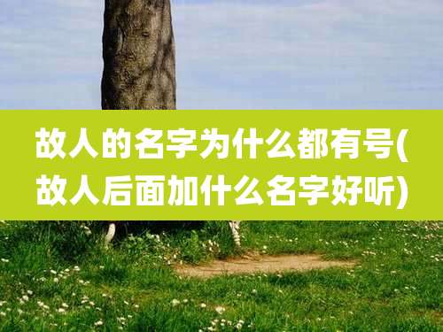 故人的名字为什么都有号(故人后面加什么名字好听)