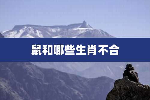 鼠和哪些生肖不合