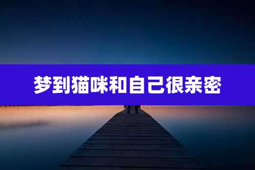 梦到猫咪和自己很亲密