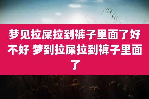 梦见拉屎拉到裤子里面了好不好 梦到拉屎拉到裤子里面了