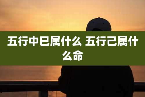 五行中巳属什么 五行己属什么命