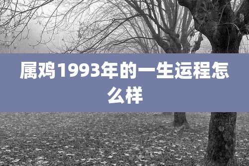 属鸡1993年的一生运程怎么样