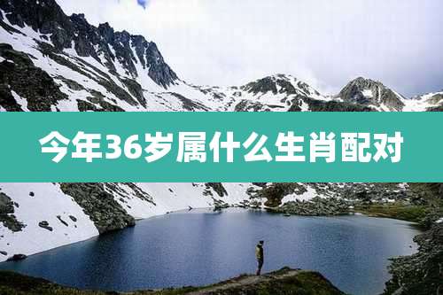 今年36岁属什么生肖配对