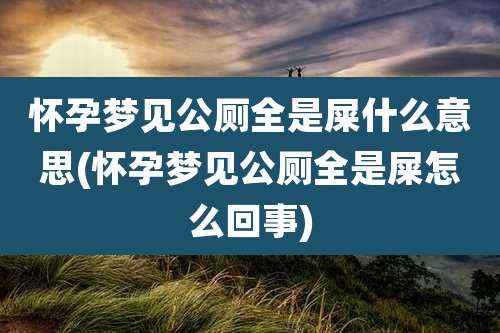 怀孕梦见公厕全是屎什么意思(怀孕梦见公厕全是屎怎么回事)