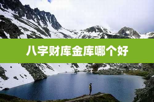 八字财库金库哪个好