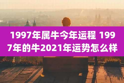 1997年属牛今年运程 1997年的牛2021年运势怎么样
