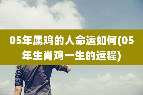 05年属鸡的人命运如何(05年生肖鸡一生的运程)