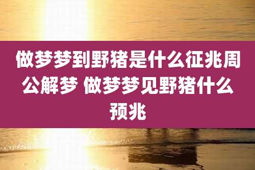 做梦梦到野猪是什么征兆周公解梦 做梦梦见野猪什么预兆