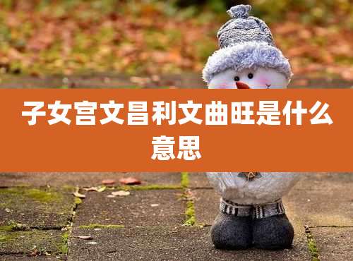 子女宫文昌利文曲旺是什么意思