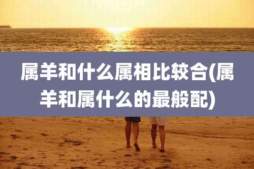 属羊和什么属相比较合(属羊和属什么的最般配)