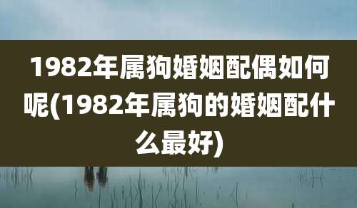 1982年属狗婚姻配偶如何呢(1982年属狗的婚姻配什么最好)