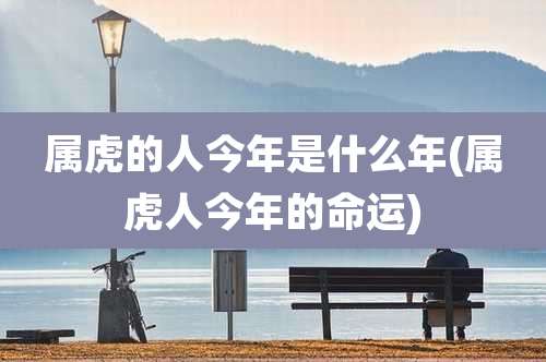 属虎的人今年是什么年(属虎人今年的命运)