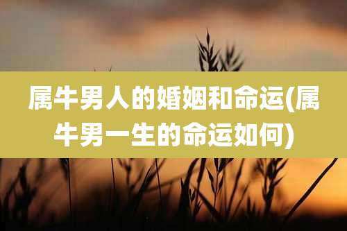 属牛男人的婚姻和命运(属牛男一生的命运如何)