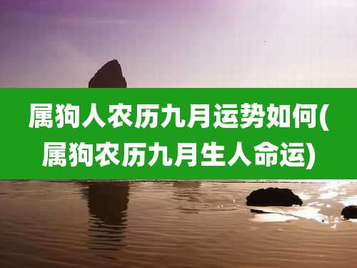 属狗人农历九月运势如何(属狗农历九月生人命运)