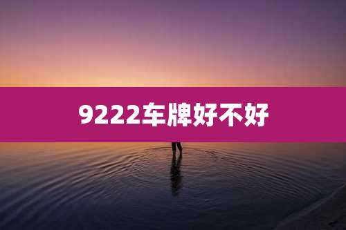 9222车牌好不好