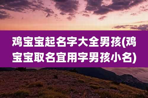 鸡宝宝起名字大全男孩(鸡宝宝取名宜用字男孩小名)