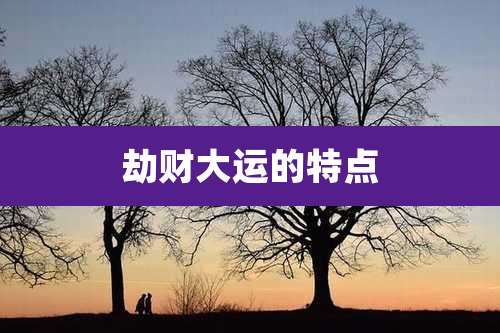 劫财大运的特点