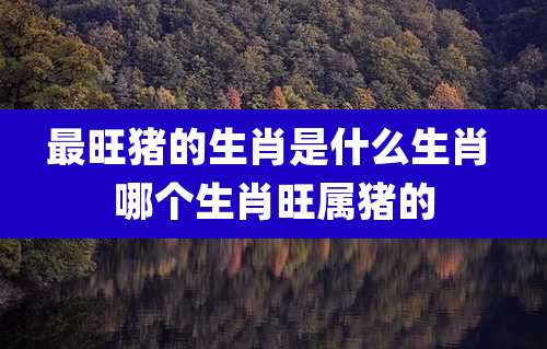 最旺猪的生肖是什么生肖 哪个生肖旺属猪的