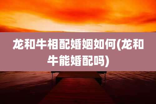 龙和牛相配婚姻如何(龙和牛能婚配吗)