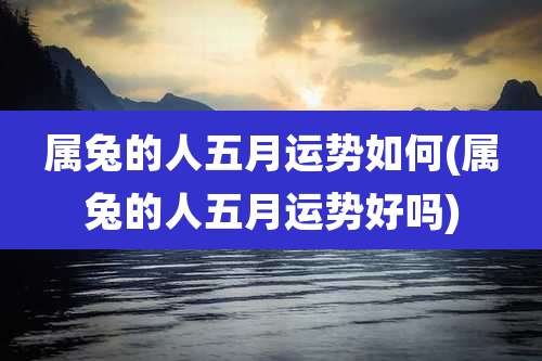 属兔的人五月运势如何(属兔的人五月运势好吗)