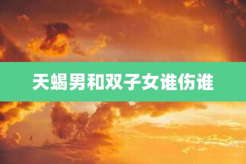 天蝎男和双子女谁伤谁