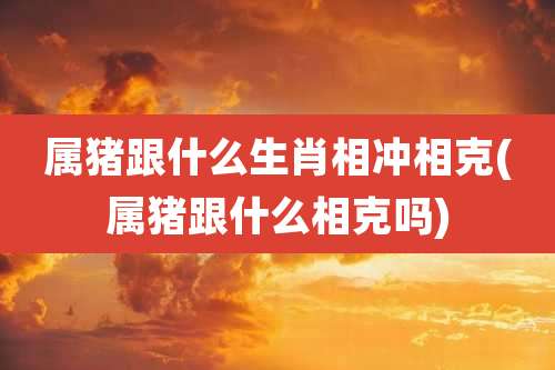 属猪跟什么生肖相冲相克(属猪跟什么相克吗)