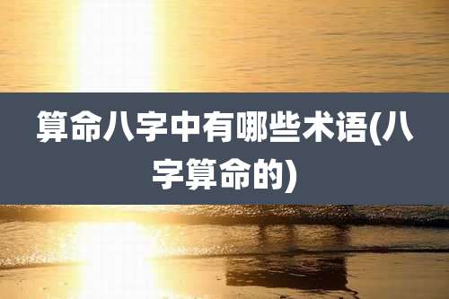 算命八字中有哪些术语(八字算命的)