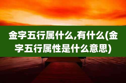 金字五行属什么,有什么(金字五行属性是什么意思)